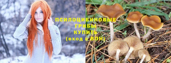 гашиш Аркадак