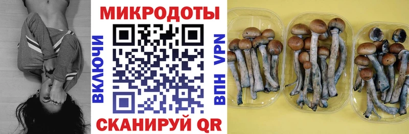 Купить закладки  Каневская  Псилоцибиновые грибы MAGIC MUSHROOMS 